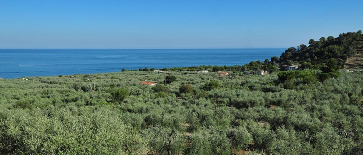 Camping Fontana Delle Rose Mattinata Exterior photo